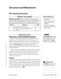 Structure and Movement The Skeletal System