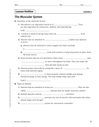 The Muscular System A. 1.