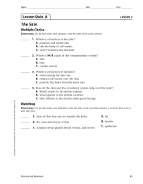 The Skin Lesson Quiz  A Multiple Choice LESSON 3