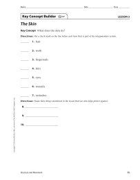 The Skin Key Concept Builder LESSON 3 Key Concept