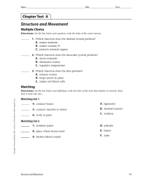 Structure and Movement Chapter Test  A Multiple Choice 1.