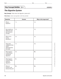 The Digestive System Key Concept Builder LESSON 2 Key Concept