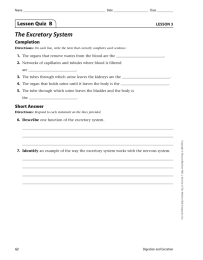 The Excretory System Lesson Quiz  B Completion LESSON 3