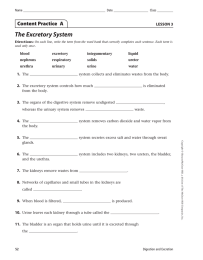 The Excretory System Content Practice  A blood excretory integumentary