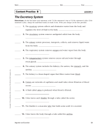 The Excretory System Content Practice  B LESSON 3