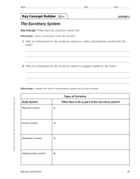 The Excretory System Key Concept Builder LESSON 3 Key Concept