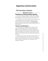 Digestion and Excretion The Excretory System Functions of the Excretory System