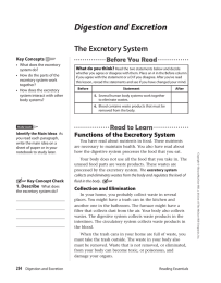 Digestion and Excretion The Excretory System