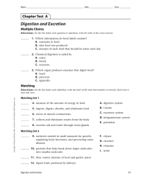 Digestion and Excretion Chapter Test  A Multiple Choice 1.