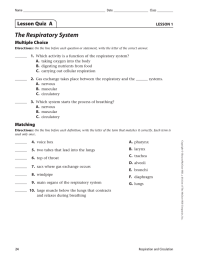 The Respiratory System Lesson Quiz  A Multiple Choice LESSON 1