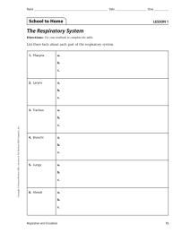 The Respiratory System School to Home LESSON 1