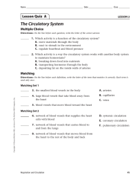 The Circulatory System Lesson Quiz  A Multiple Choice LESSON 2