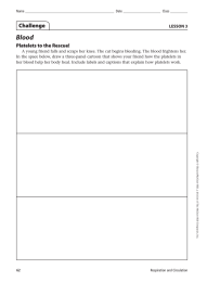 Blood Challenge Platelets to the Rescue! LESSON 3