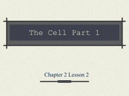 The Cell Part 1 Chapter 2 Lesson 2