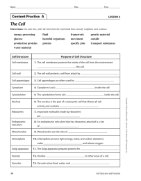 The Cell