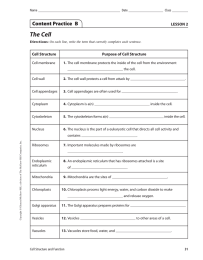 The Cell Cell Structure Purpose of Cell Structure