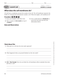 What does the cell membrane do? Launch Lab LESSON 3: 5 minutes