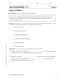 Cycles of Matter Key Concept Builder LESSON 2 Key Concept