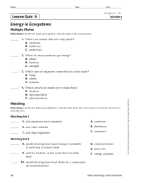 Energy in Ecosystems Lesson Quiz  A Multiple Choice LESSON 3