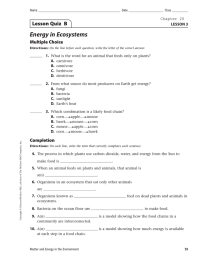 Energy in Ecosystems Lesson Quiz  B Multiple Choice LESSON 3