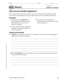 How can you classify organisms? MiniLab LESSON 3: 15 minutes Chapter 20