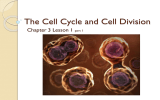 The Cell Cycle and Cell Division Chapter 3 Lesson 1 part 1