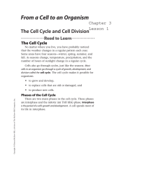 From a Cell to an Organism The Cell Cycle Chapter 3