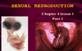SEXUAL REPRODUCTION Chapter 4 lesson 1 Part 1
