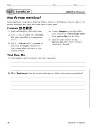 How do yeast reproduce? Launch Lab LESSON 2: 20 minutes