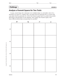 Analyze a Punnett Square for Two Traits Challenge LESSON 2