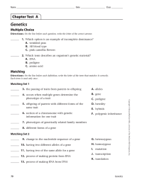 Genetics Chapter Test  A Multiple Choice 1.