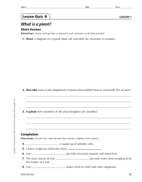 What is a plant? Lesson Quiz  B Short Answer Completion