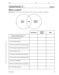 What is a plant? Content Practice  A LESSON 1 Seed