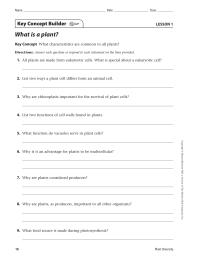 What is a plant? Key Concept Builder LESSON 1 Key Concept