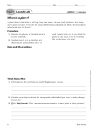 What is a plant? Launch Lab LESSON 1: 15 minutes