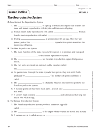 The Reproductive System A. 1.