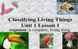 Classifying Living Things Unit 1 Lesson 1 organism