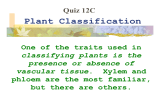 Plant Classification One of the traits used in but there are others.