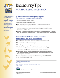 Biosecurity Tips FOR HANDLING WILD BIRDS •