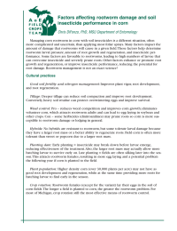 Factors affecting rootworm damage and soil insecticide performance in corn