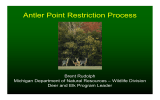 Antler Point Restriction Process Brent Rudolph Deer and Elk Program Leader