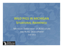 WILD PIGS IN MICHIGAN S A ITUATIONAL