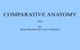 COMPARATIVE ANATOMY 3023 By Brian Matchett and Alyson Walaskay