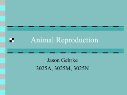 Animal Reproduction Jason Gehrke 3025A, 3025M, 3025N