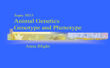 Animal Genetics Genotype and Phenotype Anna Blight Topic 3033