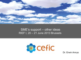 SME’s support – other ideas – 21 June 2013 Brussels