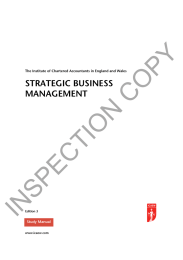 COPY INSPECTION STRATEGIC BUSINESS MANAGEMENT