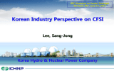Korean Industry Perspective on CFSI  Lee, Sang-Jong