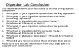 Digestion Lab Conclusion
