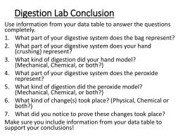 Digestion Lab Conclusion